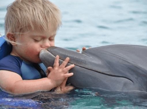 niño con sìndrome de down en delfinoterapia 